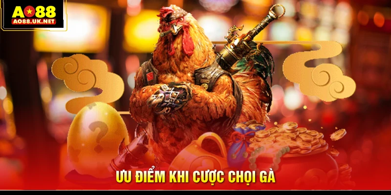 Ưu điểm khi cược chọi gà